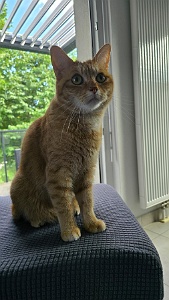 20250626_091318 Plumette